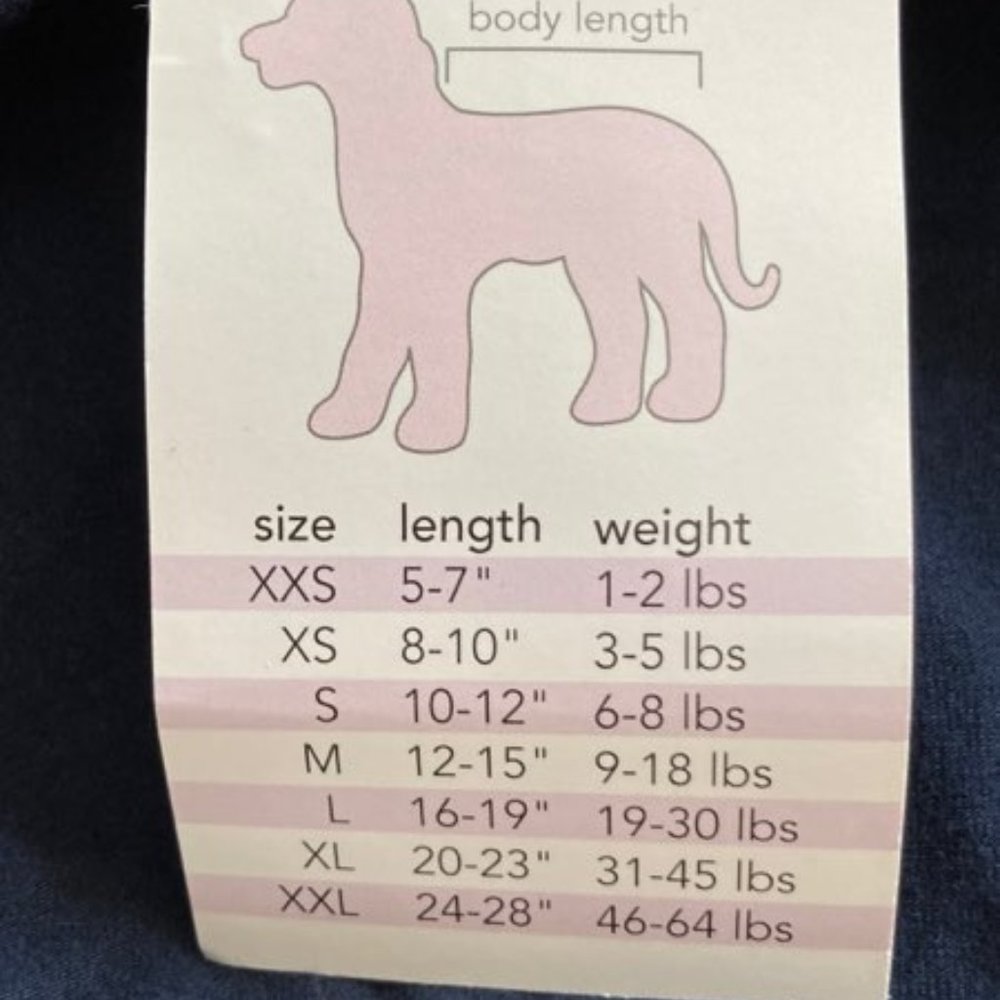 I See Spot Easter Pet T-Shirt - Picture 7 of 7